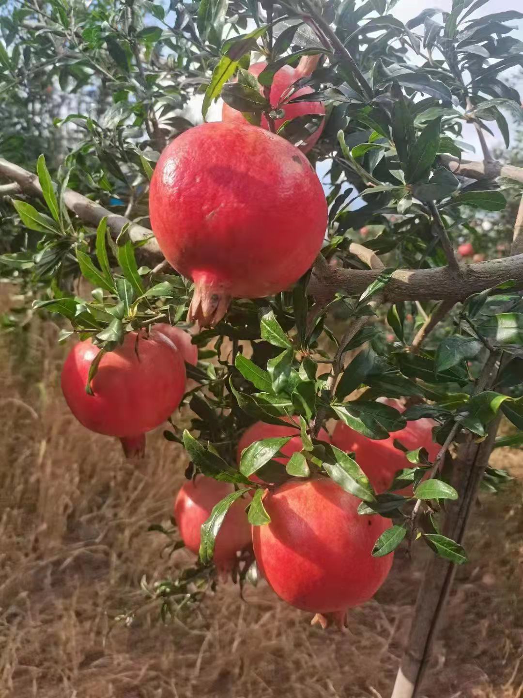 坚守初心 助力乡村振兴